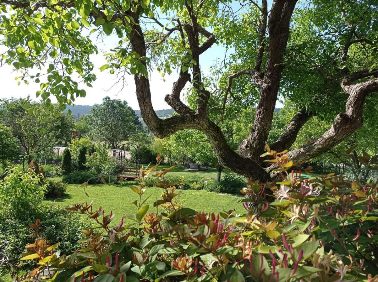 Villa Prolet General-Kantardzhievo Exteriör bild
